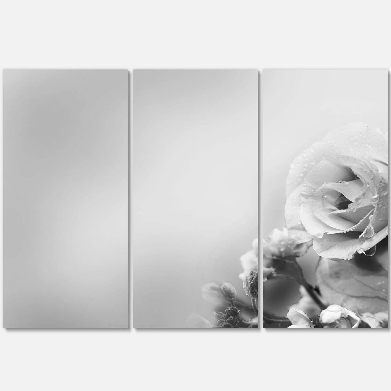 Designart - Black and White Rose in Spring. - Floral Canvas Art Print